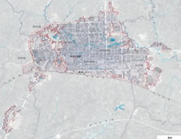 2024年度营山县城市体检报告